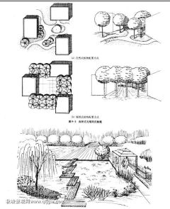 Cassiel·采集到植物设计平面图