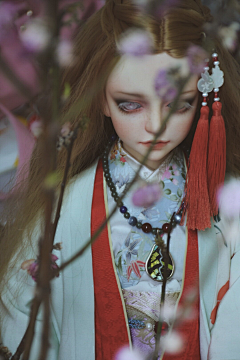 念子采集到BJD