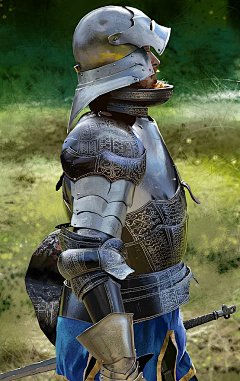 君不言233采集到盔  铠  皮  鳞 各类组合甲