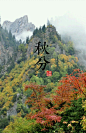 秋分：9月22日前后，日光直射点又回到赤道，形成昼夜等长。