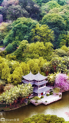 Shirley旖采集到风景