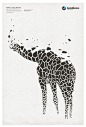 #设计秀# 一组以动物主体的海报设计精选。