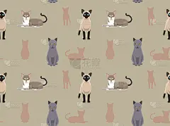猫墙纸新加坡暹罗东金俄罗斯蓝