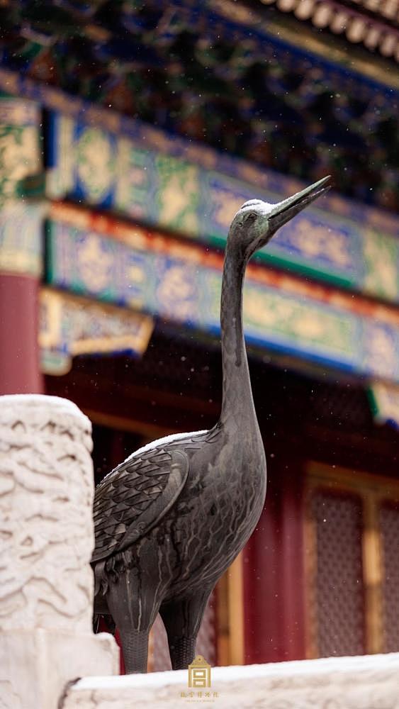 故宫春雪：沁了梅心 黏了草甲_新闻_腾讯...