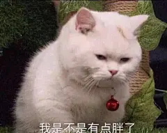 “大猪蹄子，换季节了。我好像有点胖了，你懂我的意思吧！”    #表情包#