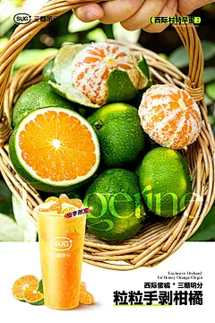 ｜禾设计｜石榴橘子茶饮海报 - 小红书