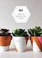 DIY painted succulent pots: 