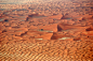 brown desert field