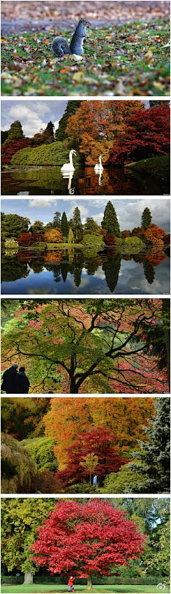 破烂酥皮采集到风景