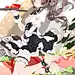 专属甜点