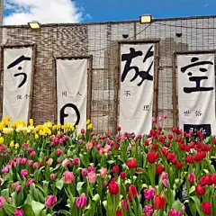 微信背景图 - 高清图片，堆糖，美图壁纸兴趣社区