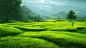 green-field-tree-blue-skygreat-as-backgroundweb-banner-generative-ai