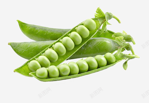豌豆荚青豌豆豌豆豆角 高原豌豆 麦豌豆 ...