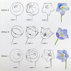 code木木采集到临摹画