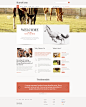HorseFarm | Breeding & raising thoroughbred horses.