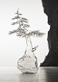 Glass bonsai | Atelier Simone Crestani | I have always admired with wonder and respect the nature, I believe that it is the greatest expression of beauty, that kind of beauty that satisfies the senses, that kind of beauty that only art can approach.