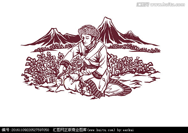 收获玛咖的纳西族女子