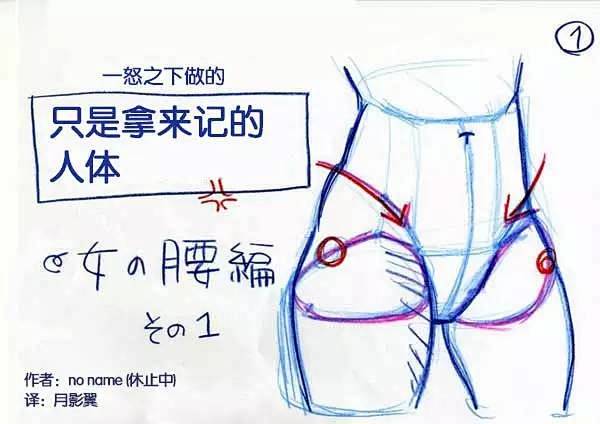 【绘画教材】女生腰部的学习教材1，P站作...