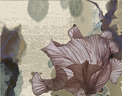 花园匠人采集到地毯