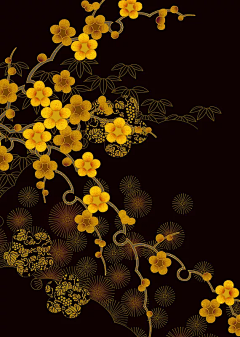 z6rDSQvh采集到碎花