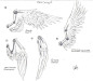* Horns & Wings * 11 | Wings drawing, Wings art, Art sketches