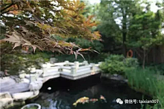 莔冲鱼采集到A景观——中式庭院