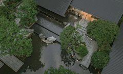 仲-鑫鑫采集到示范区景观界面&植物
