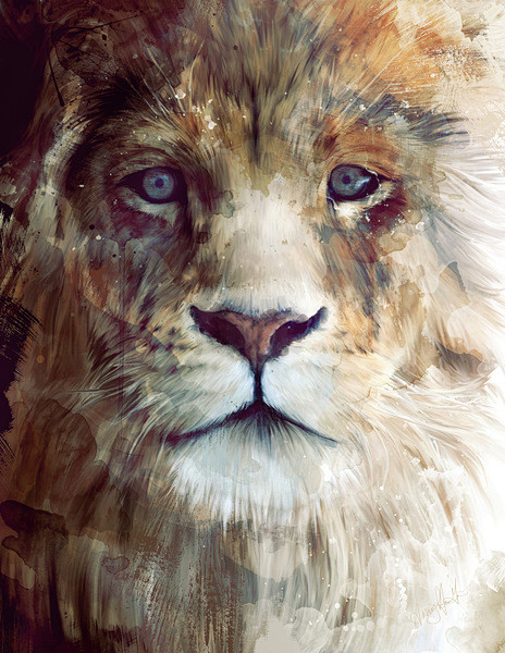 Gorgeous Animal Illu...