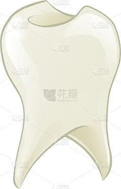 动画片,人的牙齿,分离着色,白色,口腔卫生,健康保健,人,闪亮的,珐琅,概念