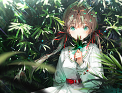 不知舞火采集到Ds