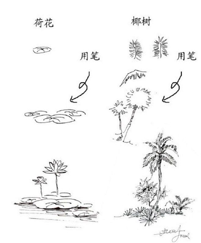 【20种植物的手绘速写技法】在最短的时间...