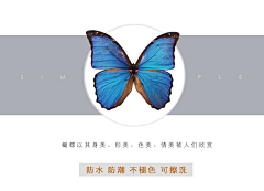 锦尚526名画采集到北欧风餐厅客厅装饰画玄关画竖版现代简约过道壁画小清新蝴蝶挂画