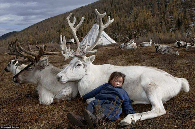 难得一见的蒙古游牧民族的迷人生活 人与野...