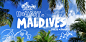 HOLIDAY IN MALDIVES : My holiday in Maldives~Photos by my wife~