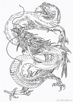 Nysyy采集到插画-龙