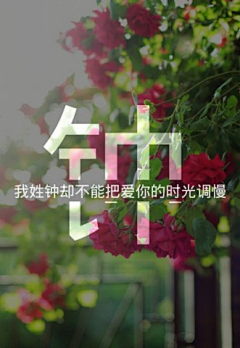 蕉雨落红叶采集到文字图片