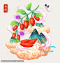 枸杞插画手绘