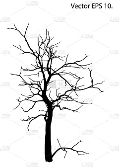 没有死树叶子矢量插画速写，eps 10.