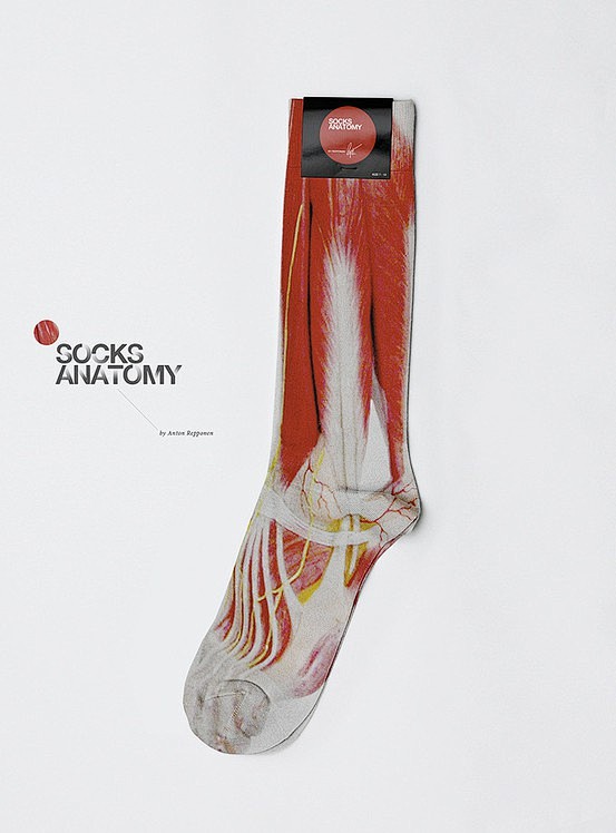anatomy socks