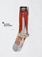anatomy socks