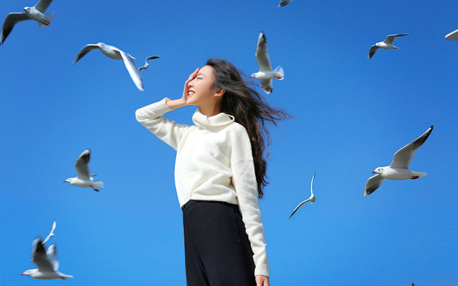 长发文艺美女海鸥合影小清新人物高清壁纸55壁纸网