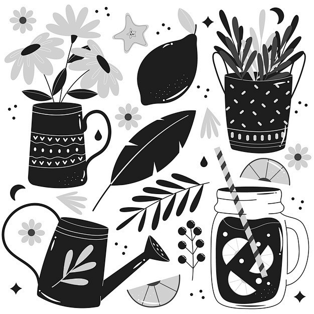 水壶花瓶果汁饮料芒果植物花朵手绘黑白插画...