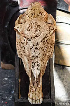 骨雕图片大全-骨雕高清好看的图片--花瓣不知道哇的画板