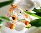 Advertising  perfume perfume photography Product Photography product photoshoot Social media post still life