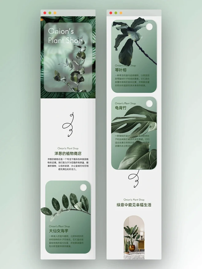 公众号长图排版|简约设计|植物商店开业了-花瓣网