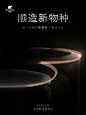 顺造新物种，倒计时3天 - 小红书