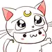 长草颜文字君！！！！美少女战士(｡ゝ∀・)b
额，白色的猫咪叫什么来着……