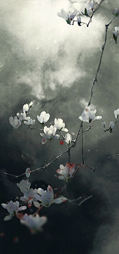 风色2016采集到场景绘画分解