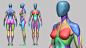 ArtStation - Female Anatomy Base mesh | Resources