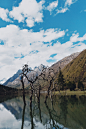 四姑娘山